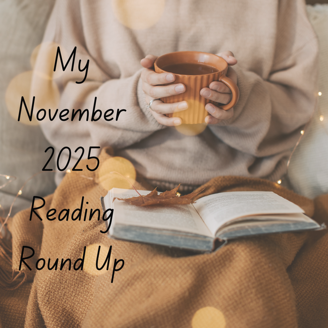❄ November 2025 Reading Round Up
